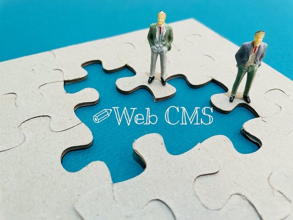 Projets web : pourquoi utiliser un cms ?